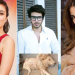 Many Pakistani celebrities have stepped up and started speaking about animal rights (Online)