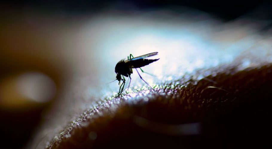 Experts believe that the incubation period of Zika virus disease is estimated to be 3 to 14 days (Sky News)