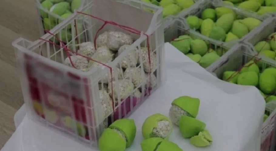 Dubai police arrest 'lemon' drug smugglers