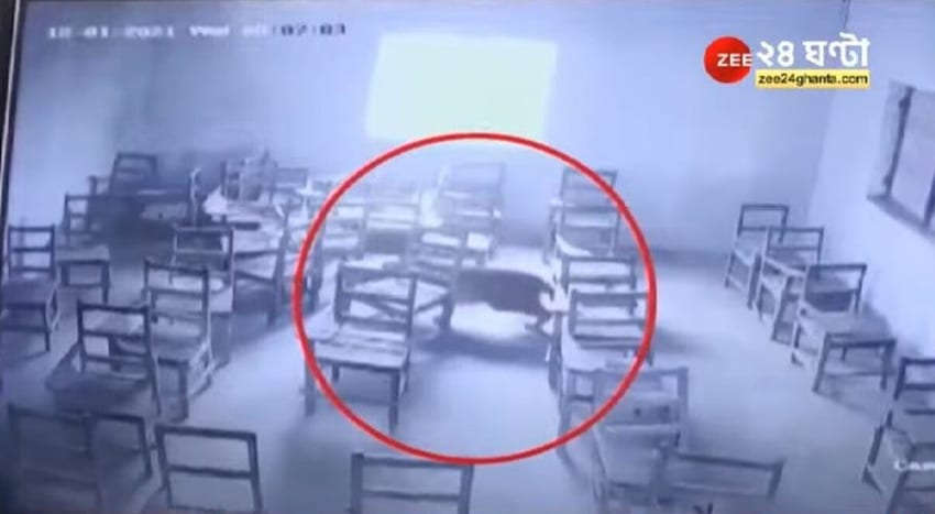 15-year-old Lakhiraj Singh, a student of class X was attacked by leopard (Online)