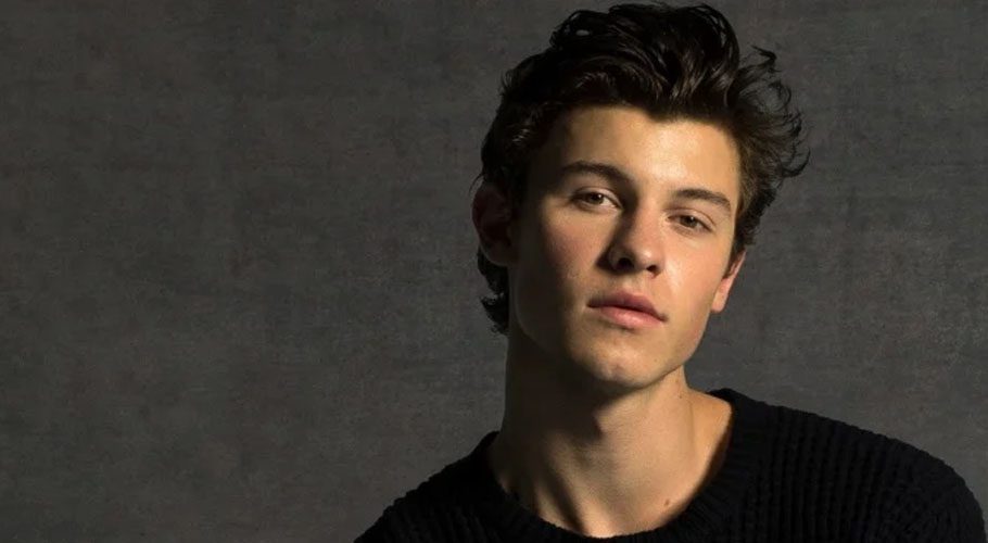 ‘I’m a having a little bit of a hard time at the moment with social media,’ said Shawn Mendes (Instagram)