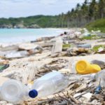 Much of the plastic pollution in the sea is from single-use items. Source: British Council/ Gettys