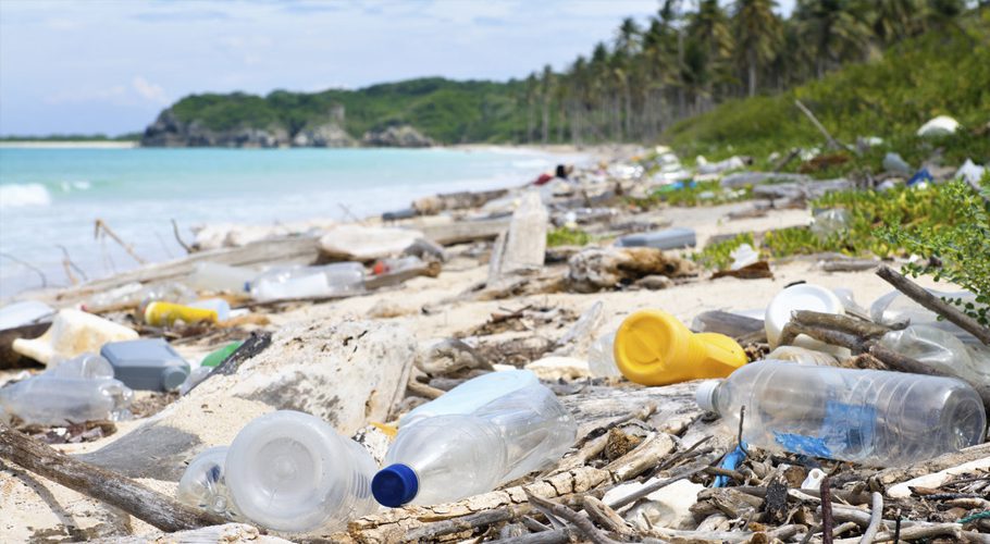 Much of the plastic pollution in the sea is from single-use items. Source: British Council/ Gettys