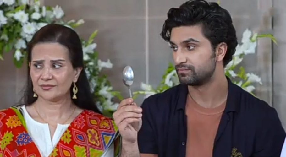 Find out the secret behind your Silver Spoon popularity