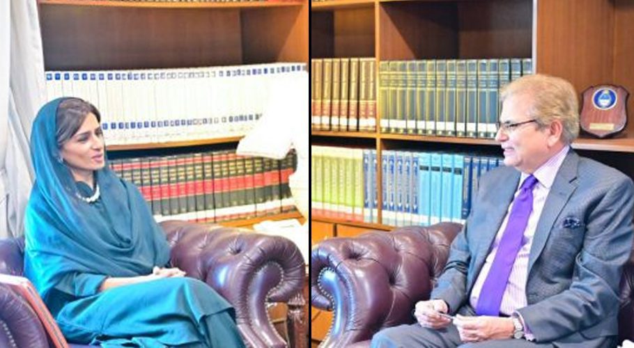Pakistan’s Special Envoy to Afghanistan call on the Minister of State. Source: APP.