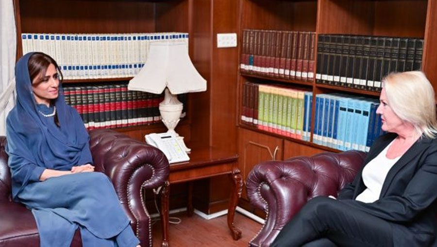 State Minister for Foreign Affairs Hina Rabbani Khar met US Chargé d’affaires Angela Aggeler. Source: APP.