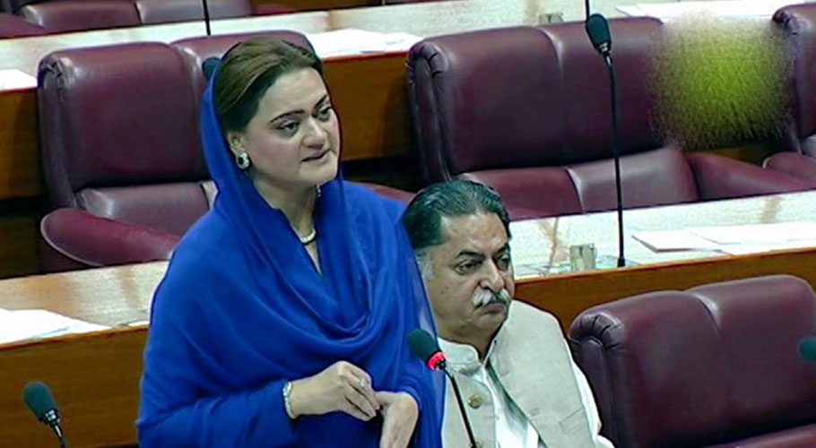 Terrorism resurfacing after PTI govt ignored NAP during last four years: Marriyum