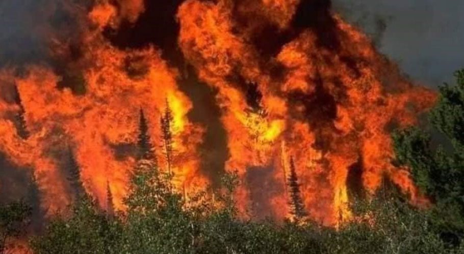 Pakistan Army employing two helicopters in firefighting effort