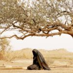 The Lady Of Heaven depicts the story of Lady Fatimah, the daughter of the Prophet Muhammad (PBUH) (Movie Nation)