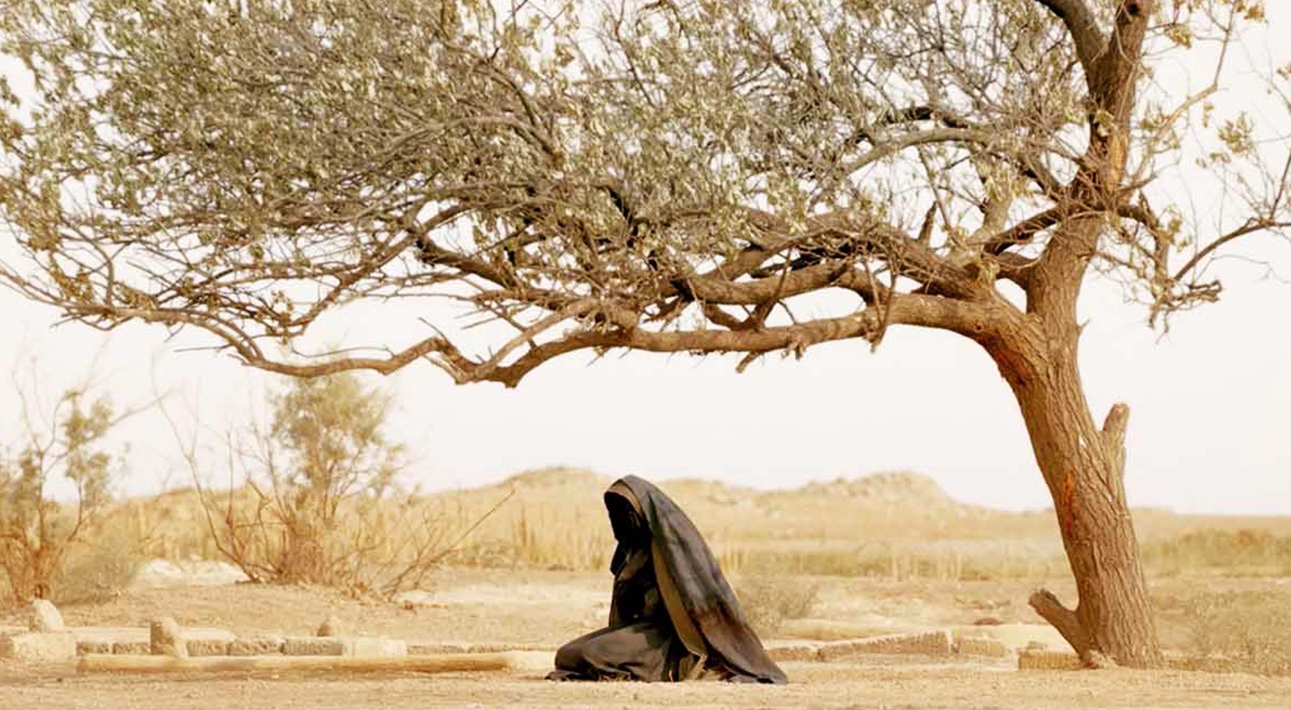 The Lady Of Heaven depicts the story of Lady Fatimah, the daughter of the Prophet Muhammad (PBUH) (Movie Nation)
