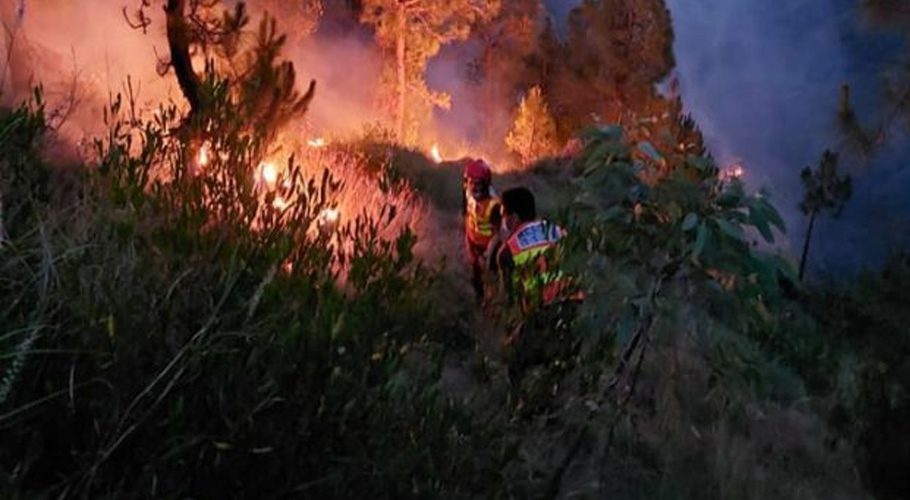 A forest fire erupted in Babuzai area of Swat. Source: Twitter.