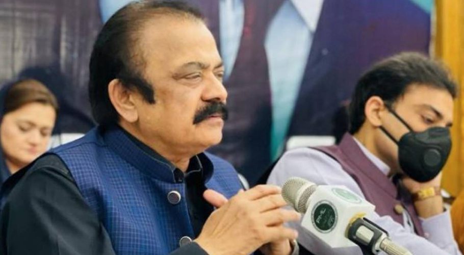 Rana Sanaullah said that Shah Mehmood Qureshi's son will also be defeated by Jahangir Tareen. (Photo: Daily Pakistan)