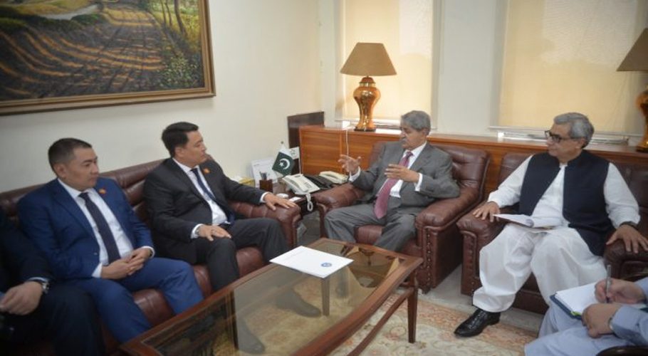 Deputy Minister of Foreign Affairs of Kyrgyzstan, Aibek Artykbaev on Friday called on Federal Minister for Commerce and Investment, Syed Naveed Qamar (Image: APP)