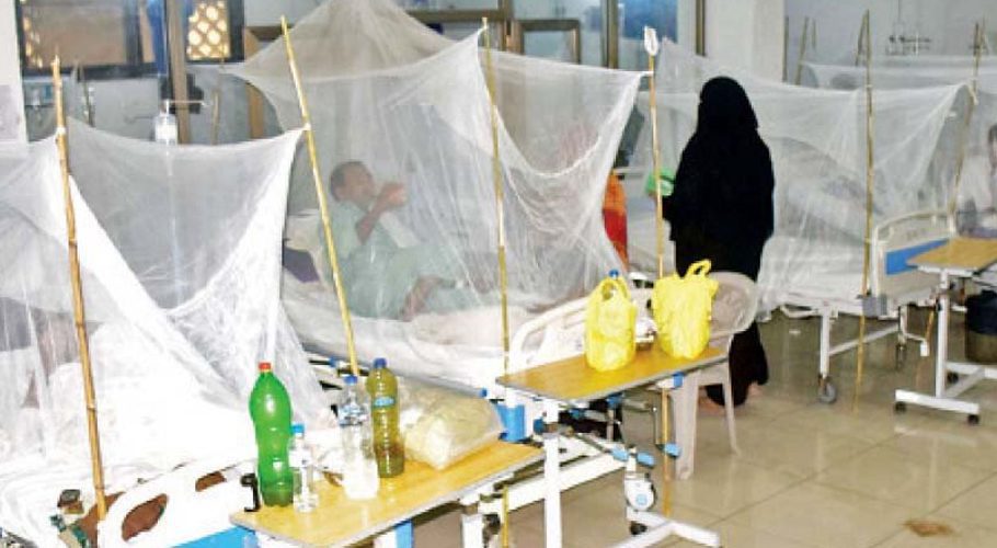 Increase in dengue virus cases, 289 people infected in 24 hours (file photo)