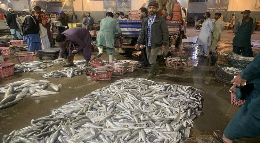 Karachi fisheries