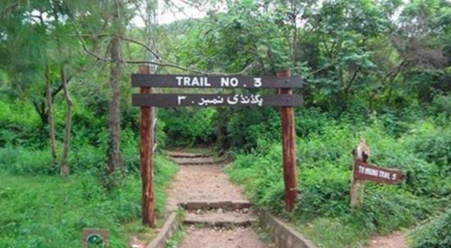 hiking trail