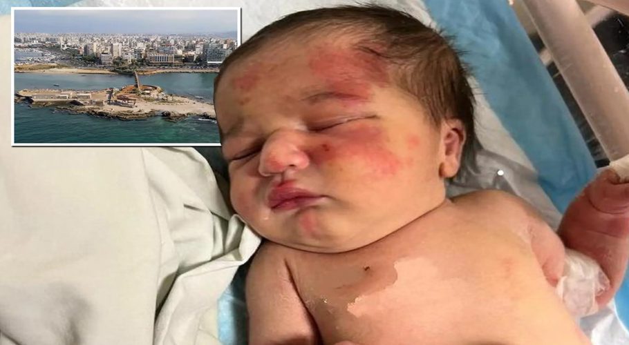 Stray dog saves abandoned baby in Lebanon