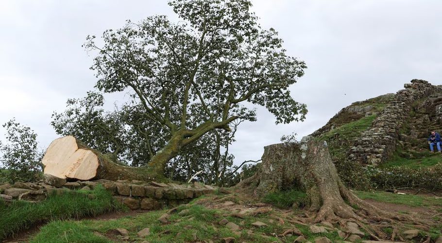 General view of the Sycamore Gap tree that was felled, in Northumberland, Britain, September 28, 2023. REUTERS/Lee Smith