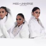 Govt distances itself from nominations for beauty contest
