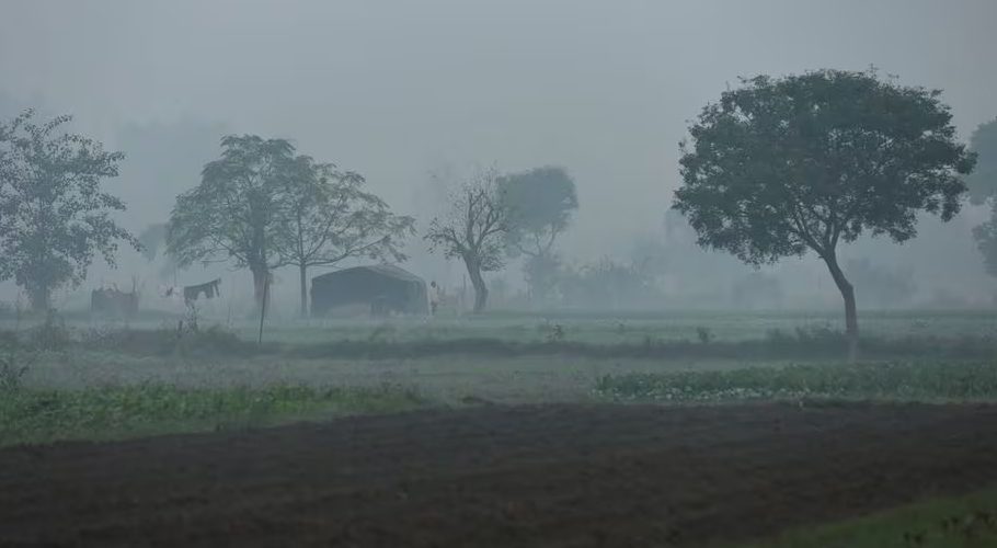A man is seen on the field on the Yamuna floodplains on a smoggy morning in New Delhi, India, November 9, 2023. REUTERS/Anushree Fadnavis Acquire Licensing Rights