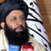 Mohammad Hashem Shahid Wror