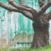 BANKSY artwork is pictured onto a wall behind a leafless tree.—AFP