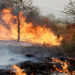 FILE / Firefighers douse fire that broke out on a greenbelt near Nust in Islamabad on June 8, 2022 . — Photo by Mohammad Asim via Dawn.com