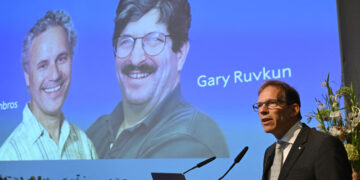 The Nobel committee secretary general, Thomas Perlmann, speaks to the media in front of a picture of this year's laureates, Victor Ambros and Gary Ruvkum at the Karolinska Institute in Stockholm Photograph: Jonathan Nackstrand/AFP/Getty Images