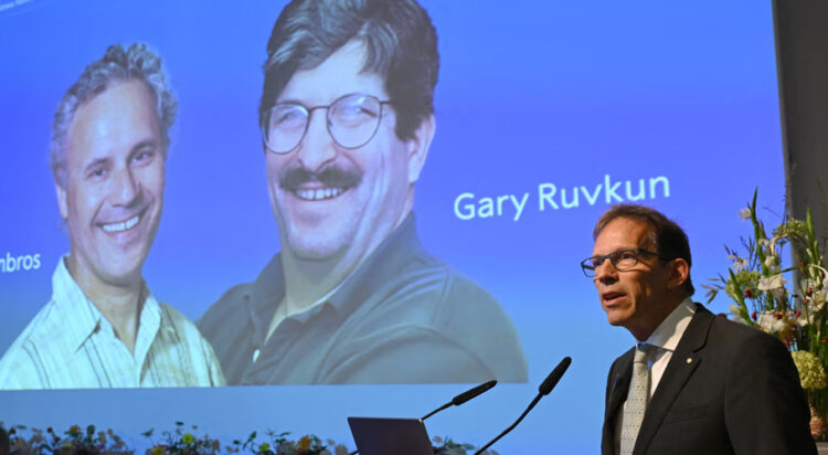 The Nobel committee secretary general, Thomas Perlmann, speaks to the media in front of a picture of this year's laureates, Victor Ambros and Gary Ruvkum at the Karolinska Institute in Stockholm Photograph: Jonathan Nackstrand/AFP/Getty Images