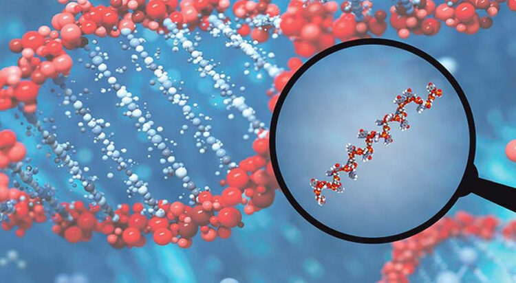 Image: BioVendor