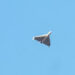 Representational Image/A Russian drone is seen during a Russian drone strike amid Russia's attack on Ukraine, in Kyiv, Ukraine October 17, 2022. REUTERS/Roman Petushkov/File Photo