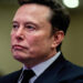 Photograph: Allison Robbert/Reuters