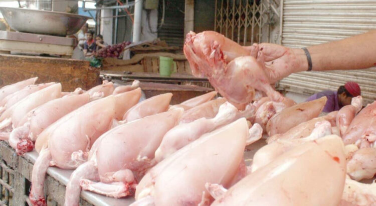 Chicken Meat