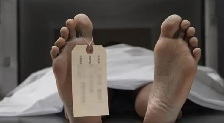 lady killed