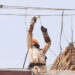 Power Theft