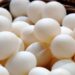 The new breed is Pakistani scientists develop climate-resilient chicken breed with high egg yield by Faisalabad scientists. File photo