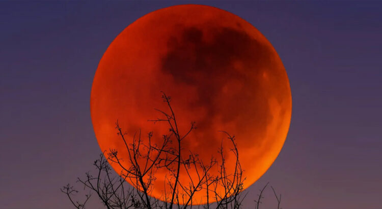 (JG Photography/Alamy)