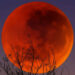 (JG Photography/Alamy)