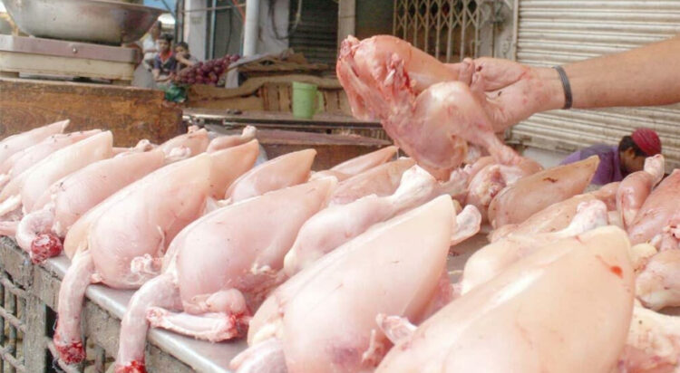 Chicken Meat
