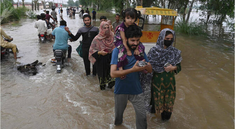 Flood