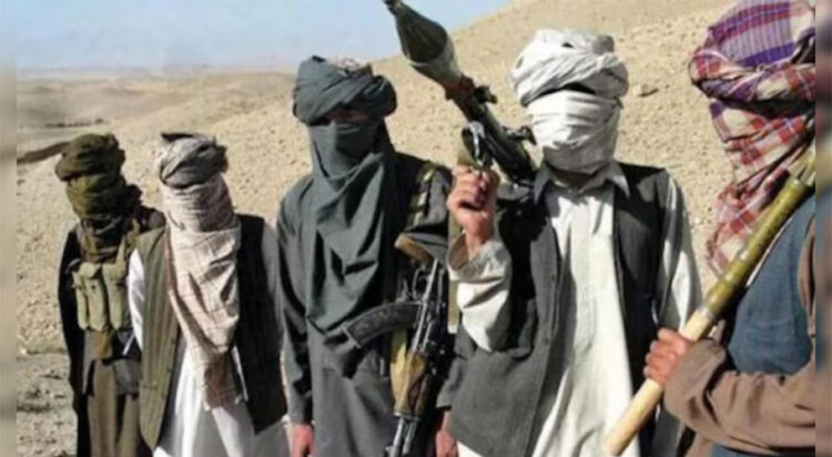 Terrorists