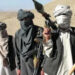 Terrorists