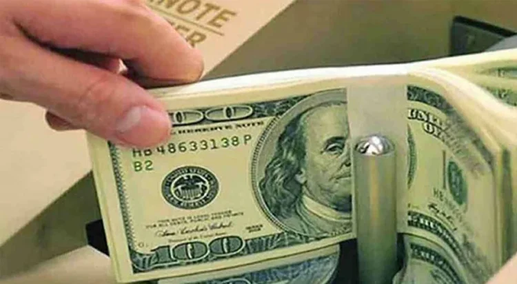 Foreign Loan