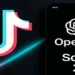 sora app and tik tok