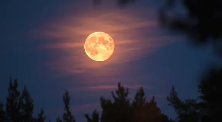 Super Moon