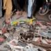 Motorcyclist killed