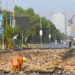 Development Budget