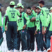 Pakistan’s Under-19 cricket team players celebrate after taking a wicket during an Asia Cup match against UAE in Dubai on December 16, 2025. (PCB/File)
