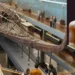 The second solar boat of King Khufu, at the Grand Egyptian Museum in Giza, Egypt, Tuesday, Dec. 23, 2025. (AP Photo/Amr Nabil)