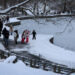 People visit Central Park in Manhattan, New York, U.S., December 27, 2025. REUTERS/Kena Betancur